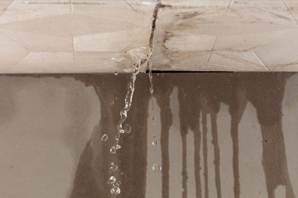 Professional Structural Drying technician working in Clifton, VA